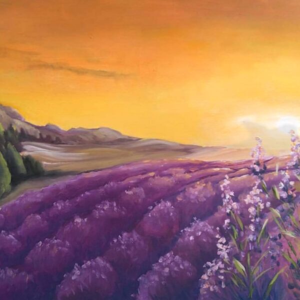 Lavanda u suton